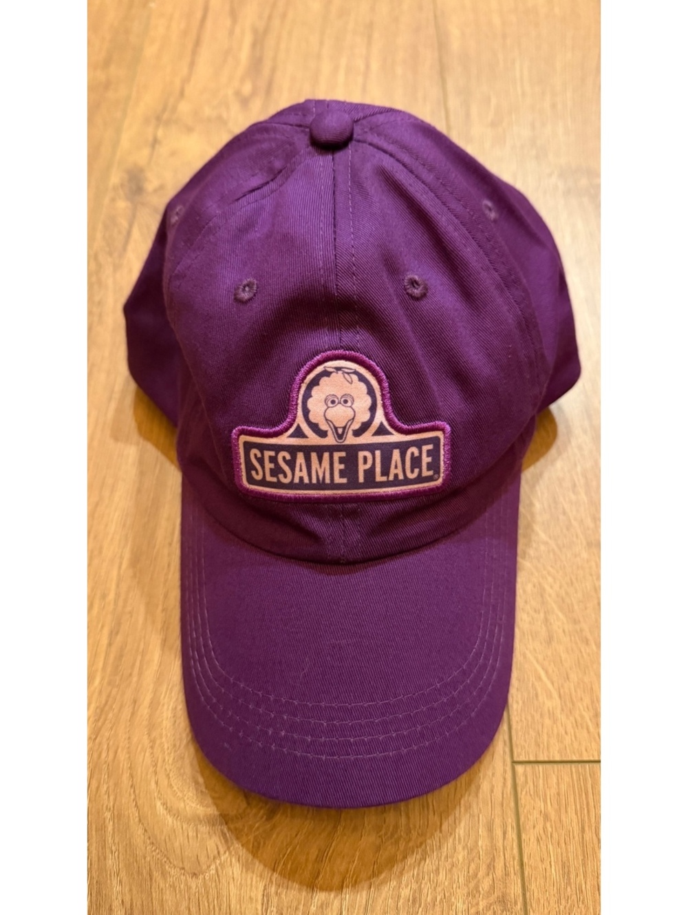 Sesame Place Hat Cap Purple Big Bird Sesame Street